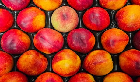 Vente livraison fruits à noyaux (pêches, abricots, nectarines...) sur Saint-Etienne