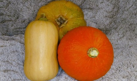 Vente et livraison de butternut et de potimarron dans la Loire