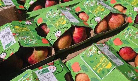 Livraison et vente de pomme bio dans la Loire et alentours