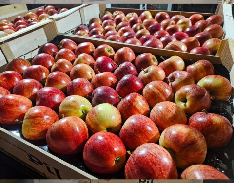 Acheter et livrer des poires William et pommes Royal Gala locales dans la Loire