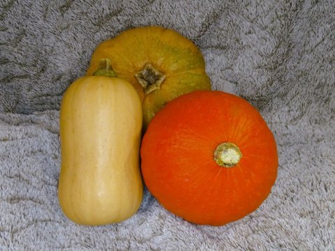 Vente et livraison de butternut et de potimarron dans la Loire