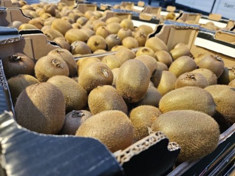 Vente achat kiwi français sur Saint-Etienne