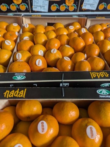 Vente et livraison de mandarine Orri Espagne dans la Loire