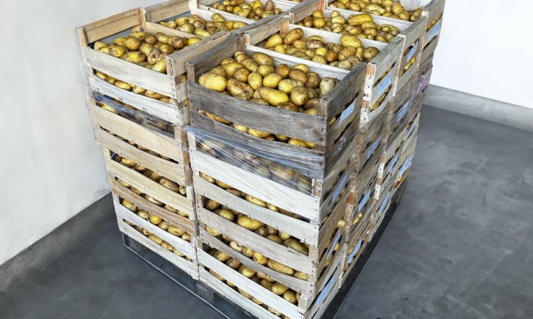 Vente et livraison de pommes de terre locales HVE dans la Loire