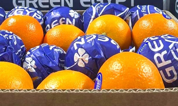 Vente et livraison d'orange à jus pour besoins professionnels sur Saint-Etienne