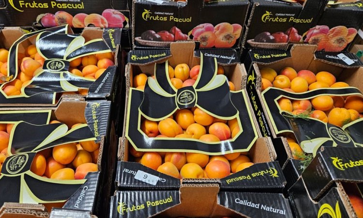 Vente livraison fruits à noyaux (pêches, abricots, nectarines...) sur Saint-Etienne