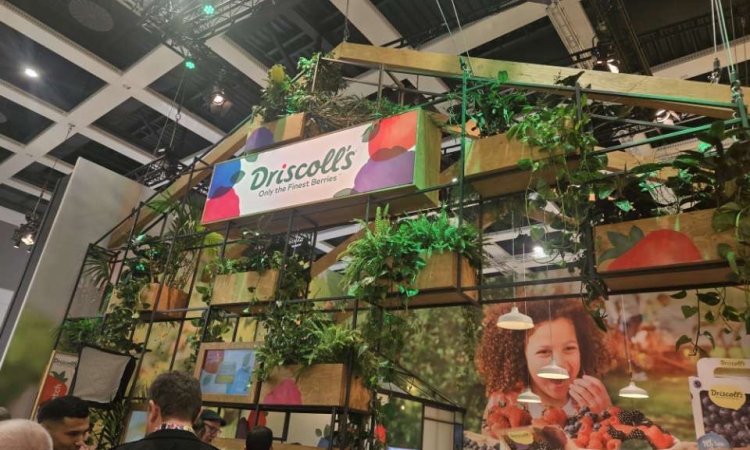  Salon fruit logistica de Berlin