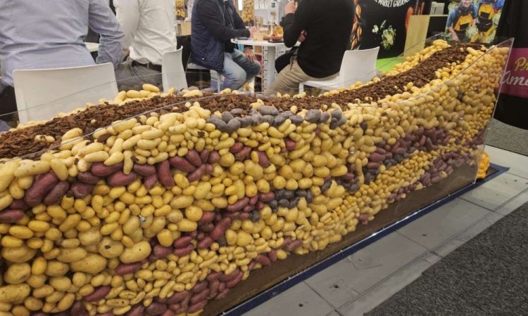  Salon fruit logistica de Berlin