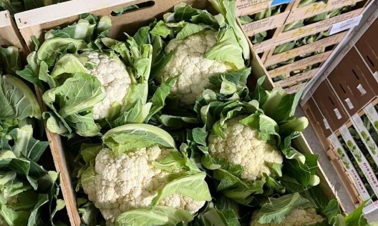 Vente et livraison de chou fleur dans la Loire